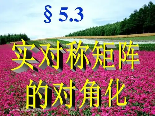 第三节 实对称矩阵的对角化