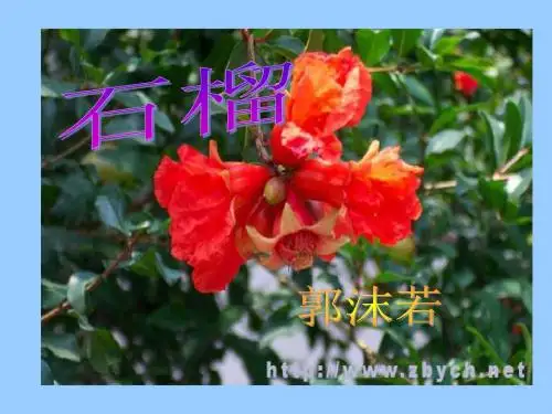 免费下载苏教版初中语文八年级下册8下《石榴》课件ppt