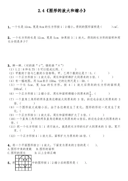 【小学数学】六年级数学下册试题 一课一练 2.4《图形的放大和缩小》 北师大版(含答案)