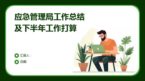 应急管理局工作总结及下半年工作打算