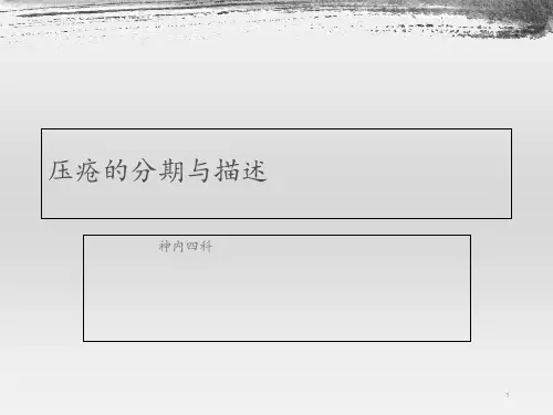 压疮的分期与描述  ppt课件