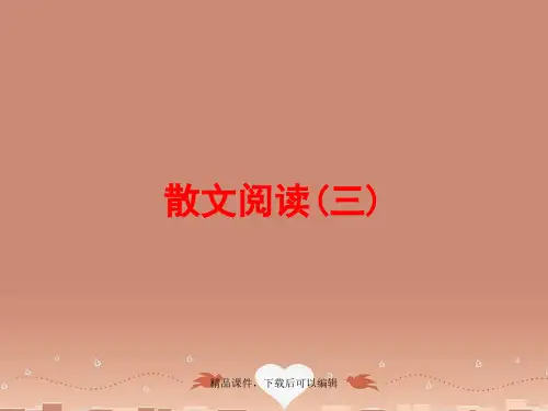 2016中考语文第三篇现代文阅读文学类作品阅读专【精编ppt】