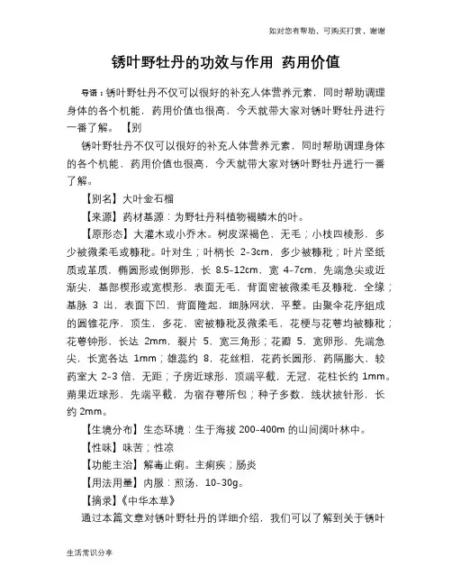 锈叶野牡丹的功效与作用 药用价值