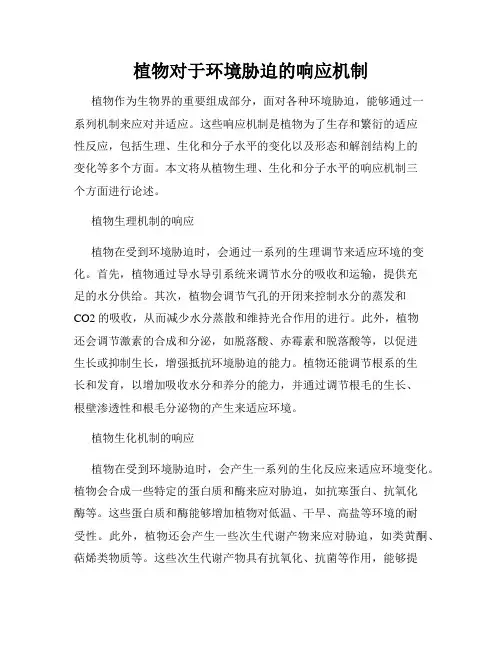 植物对于环境胁迫的响应机制