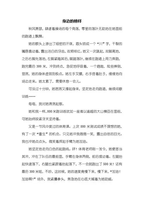 初三作文：身边的榜样作文800字