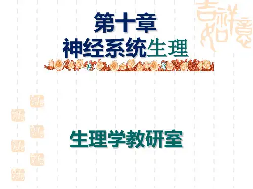 第十章  神经系统hh