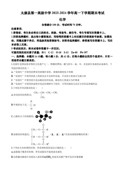 河南省周口市太康县第一高级中学2023-2024学年高一下学期期末考试化学试题(含解析)