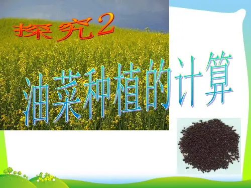 【最新】北师大版数学七年级上册第五章《一元一次方程——探究2和行船问题》精品课件