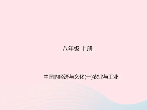 2019年中考地理总复习(八上)专题梳理ppt课件(人教版8份)(3)高品质版