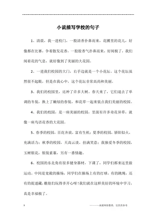 小说描写学校的句子