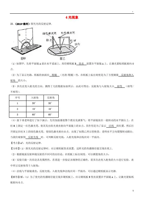 2019中考物理分类汇编4光现象