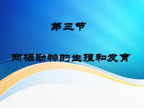 两栖动物的生殖和发育课件人教版八年级生物下册