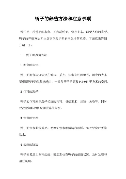 鸭子的养殖方法和注意事项