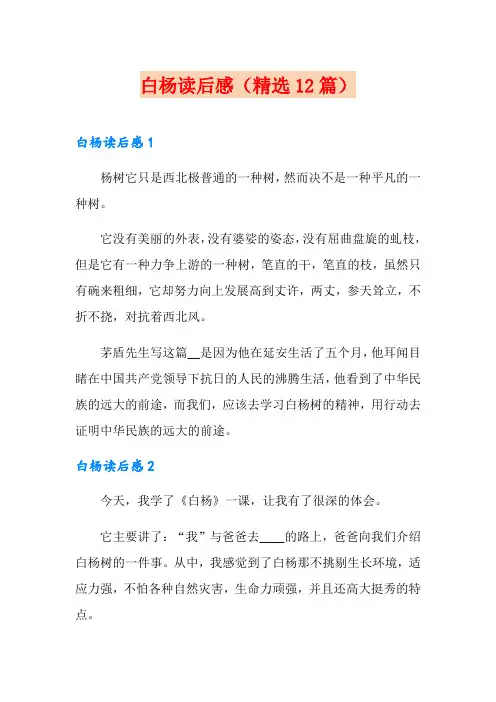 白杨读后感(精选12篇)
