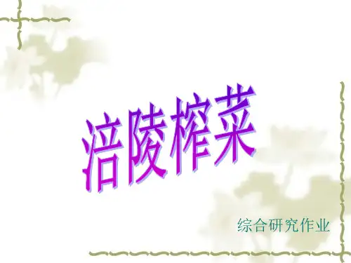 涪陵榨菜