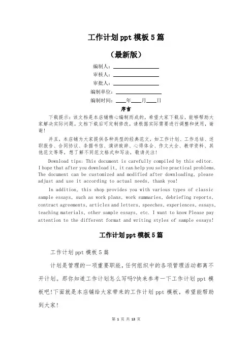 工作计划ppt模板5篇
