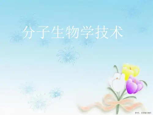 分子生物学技术