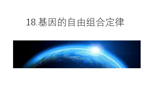 高三生物第一轮复习资料-18-基因的自由组合定律