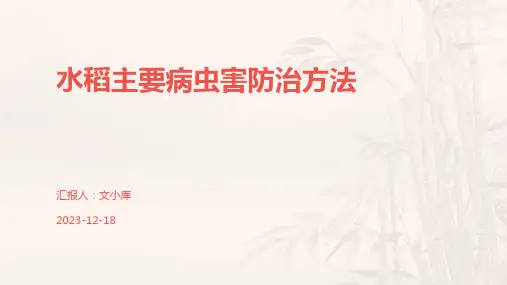 水稻主要病虫害防治方法