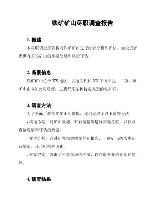 铁矿矿山尽职调查报告