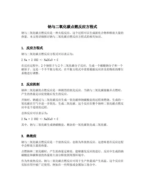 钠与二氧化碳点燃反应方程式
