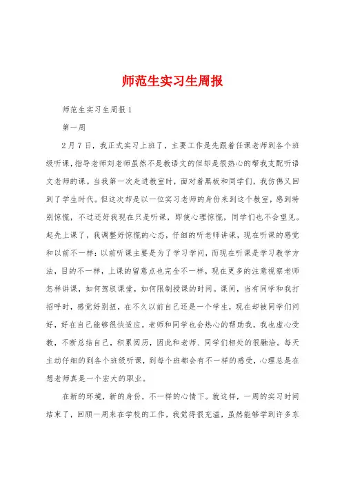 师范生实习生周报
