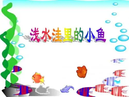 28《浅水洼里的小鱼》PPT课件