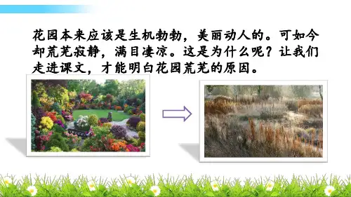 冀教语文五年级下册11 荒芜了的花园