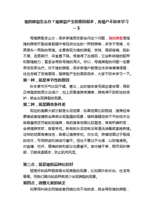 猪的蹄裂怎么办？猪蹄裂产生的原因很多，养殖户不妨来学习一下