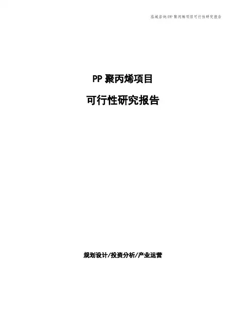 PP聚丙烯项目可行性研究报告