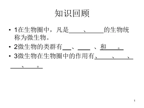北师大版八上《微生物与人类的关系》ppt课件_图文