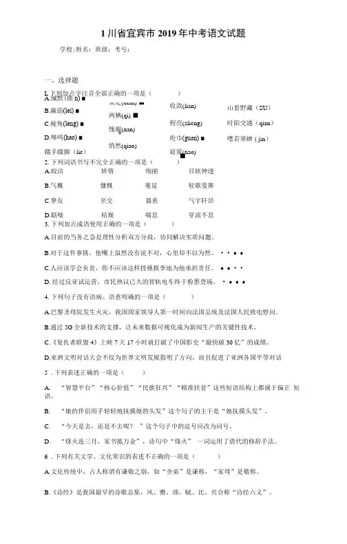 四川宜宾2019年中考语文试题