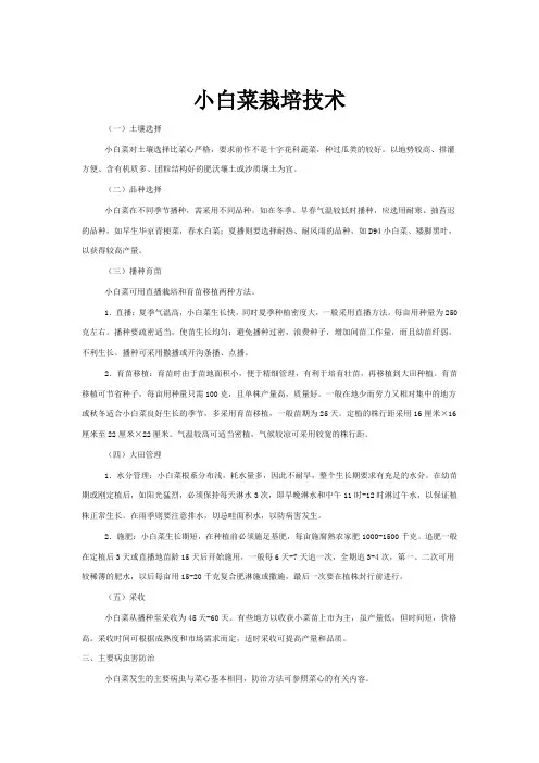 小白菜栽培技术