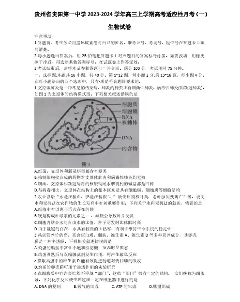 贵州省贵阳第一中学2023-2024学年高三上学期高考适应性月考生物试卷(一)及参考答案