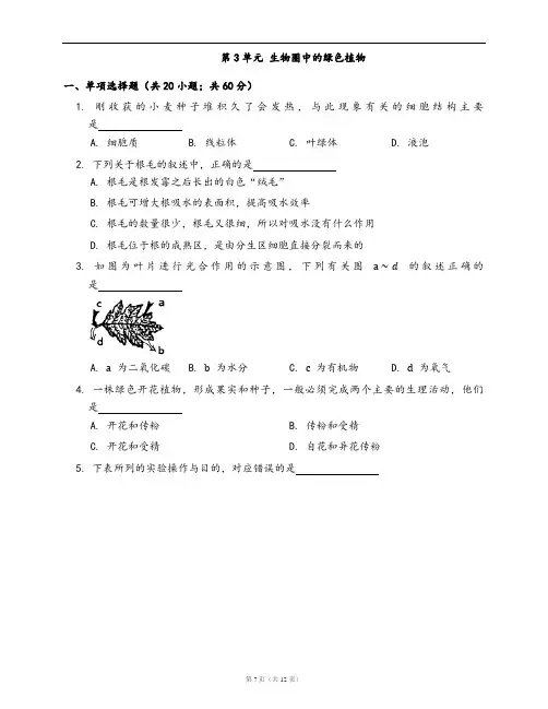 北师大版七年级生物上册单元检测卷第3单元 生物圈中的绿色植物(word版,含答案解析)