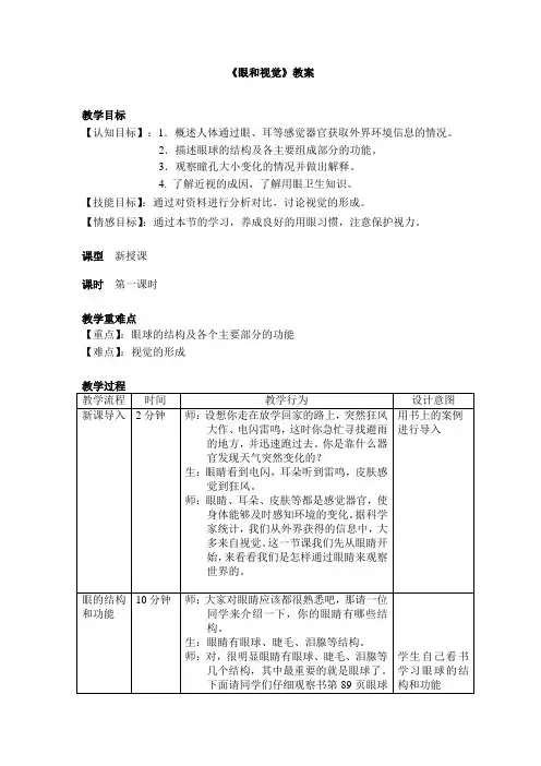 眼和视觉教案
