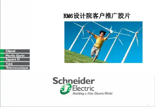 施耐德RM6中压开关柜综述