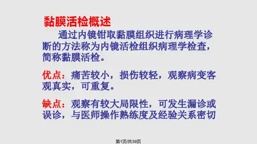 胃粘膜活检病理PPT课件