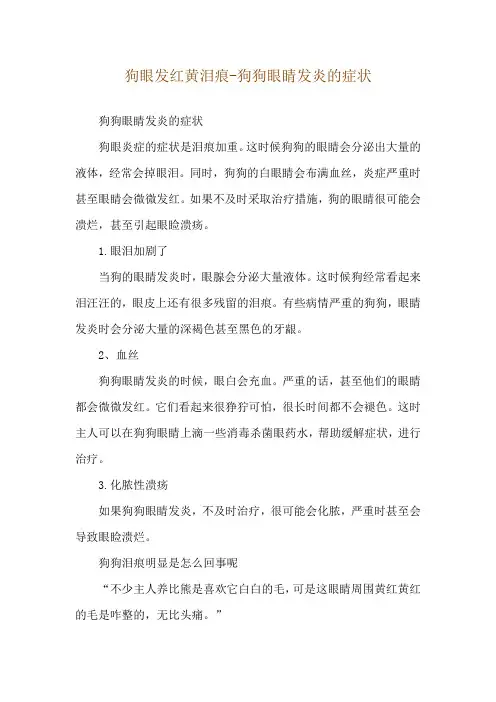 狗眼发红黄泪痕-狗狗眼睛发炎的症状