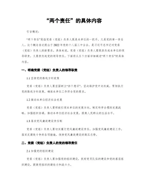 “两个责任”的具体内容