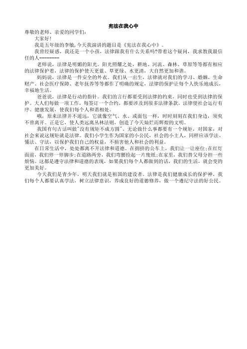 宪法在我心中