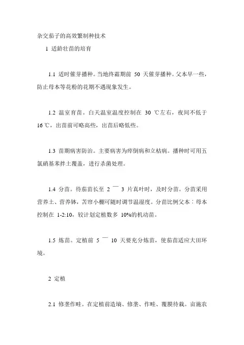 杂交茄子的高效繁制种技术