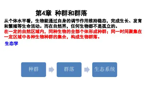 种群的特征优秀课件
