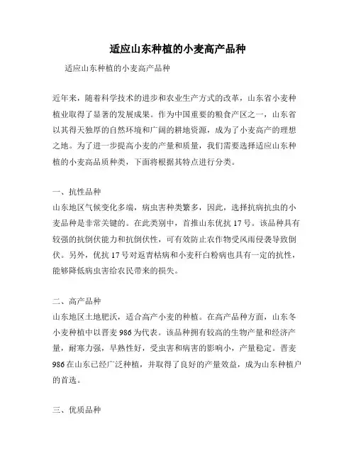 适应山东种植的小麦高产品种
