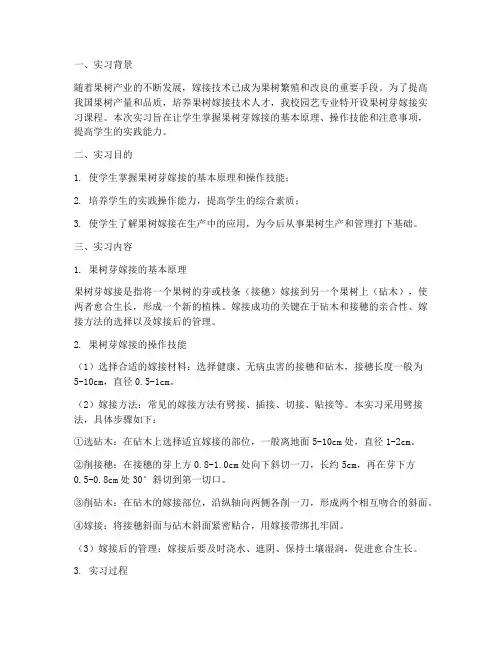 果树芽嫁接实习报告