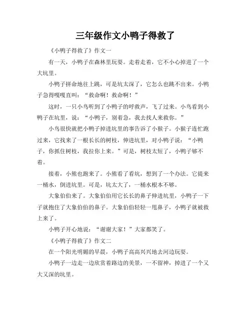 三年级作文小鸭子得救了