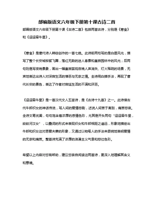 部编版语文六年级下册第十课古诗二首