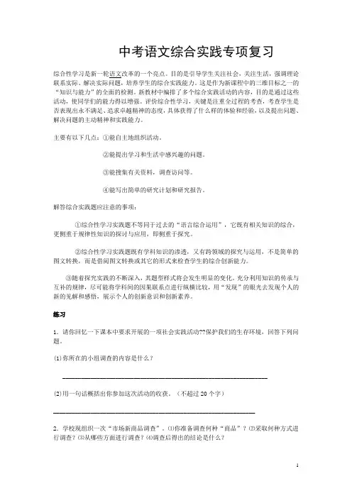 中考语文综合实践专项复习(DOC)