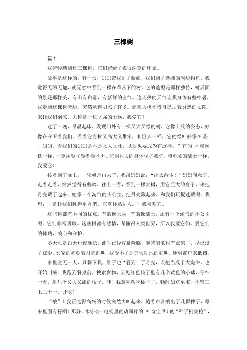 三棵树作文800字中考