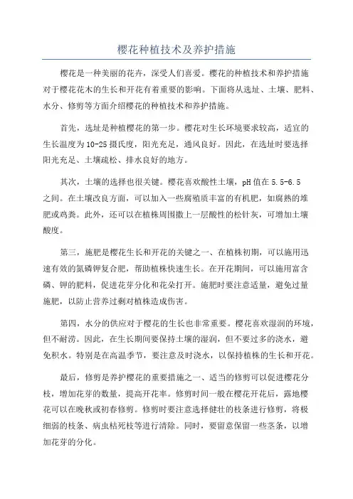 樱花种植技术及养护措施